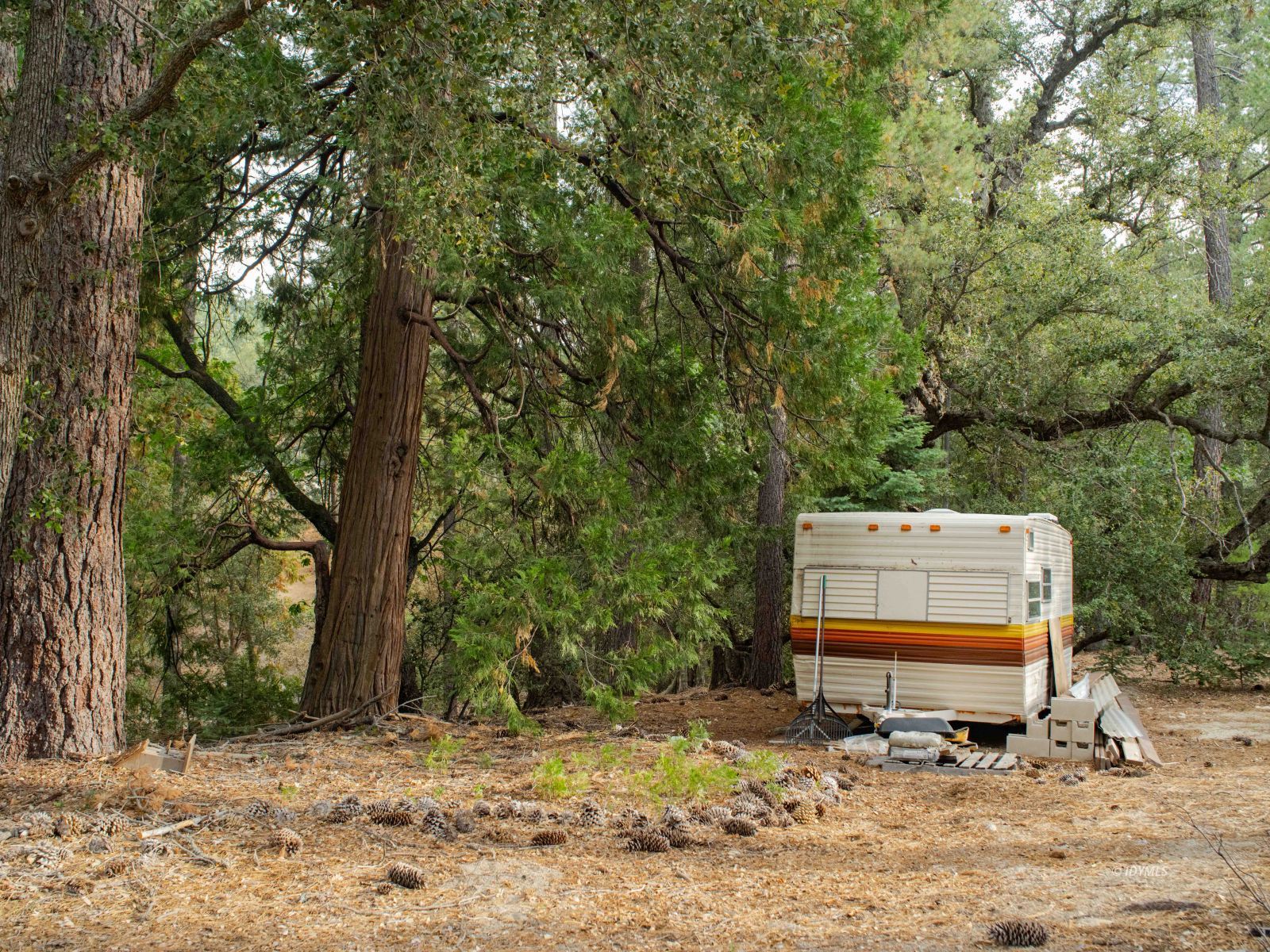 22928 State Highway 243