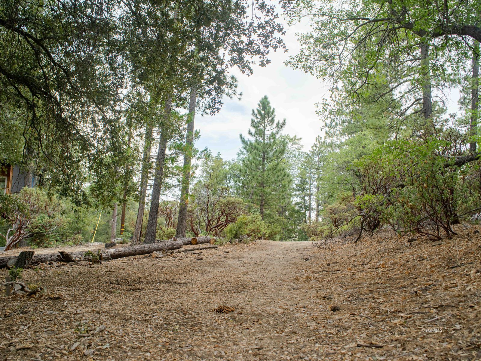 22928 State Highway 243