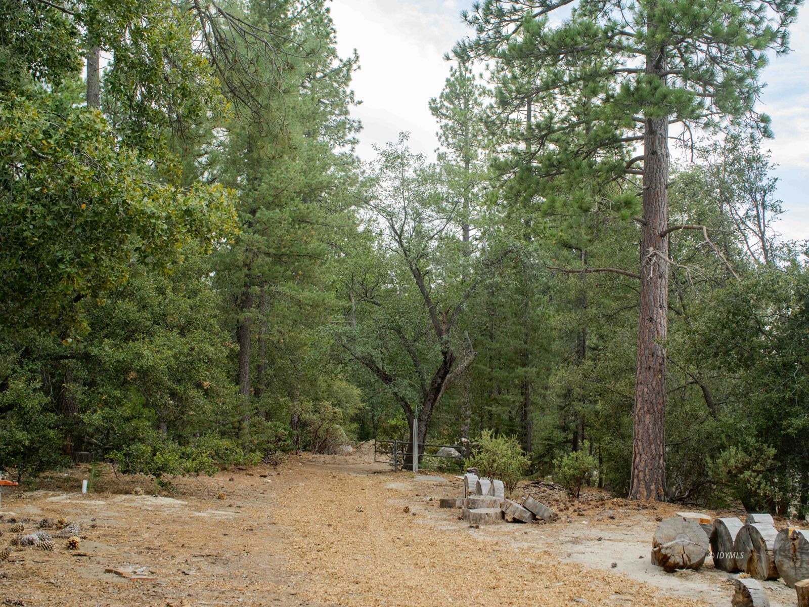 22928 State Highway 243