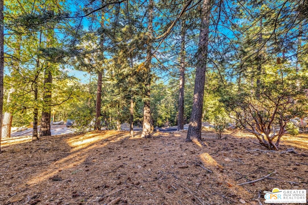 53065 Cedar Crest Dr