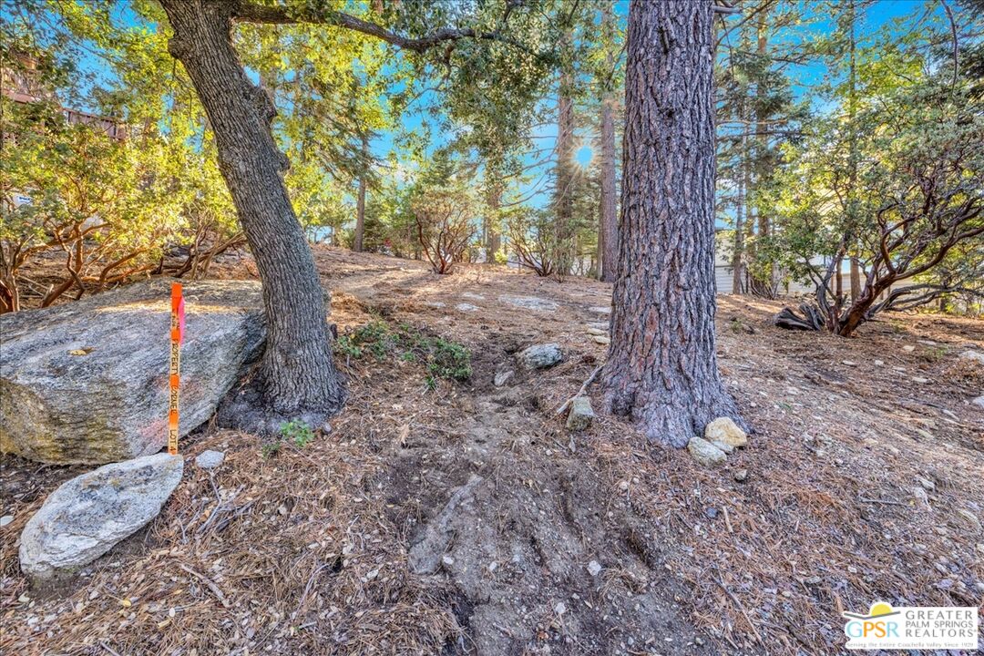 53065 Cedar Crest Dr