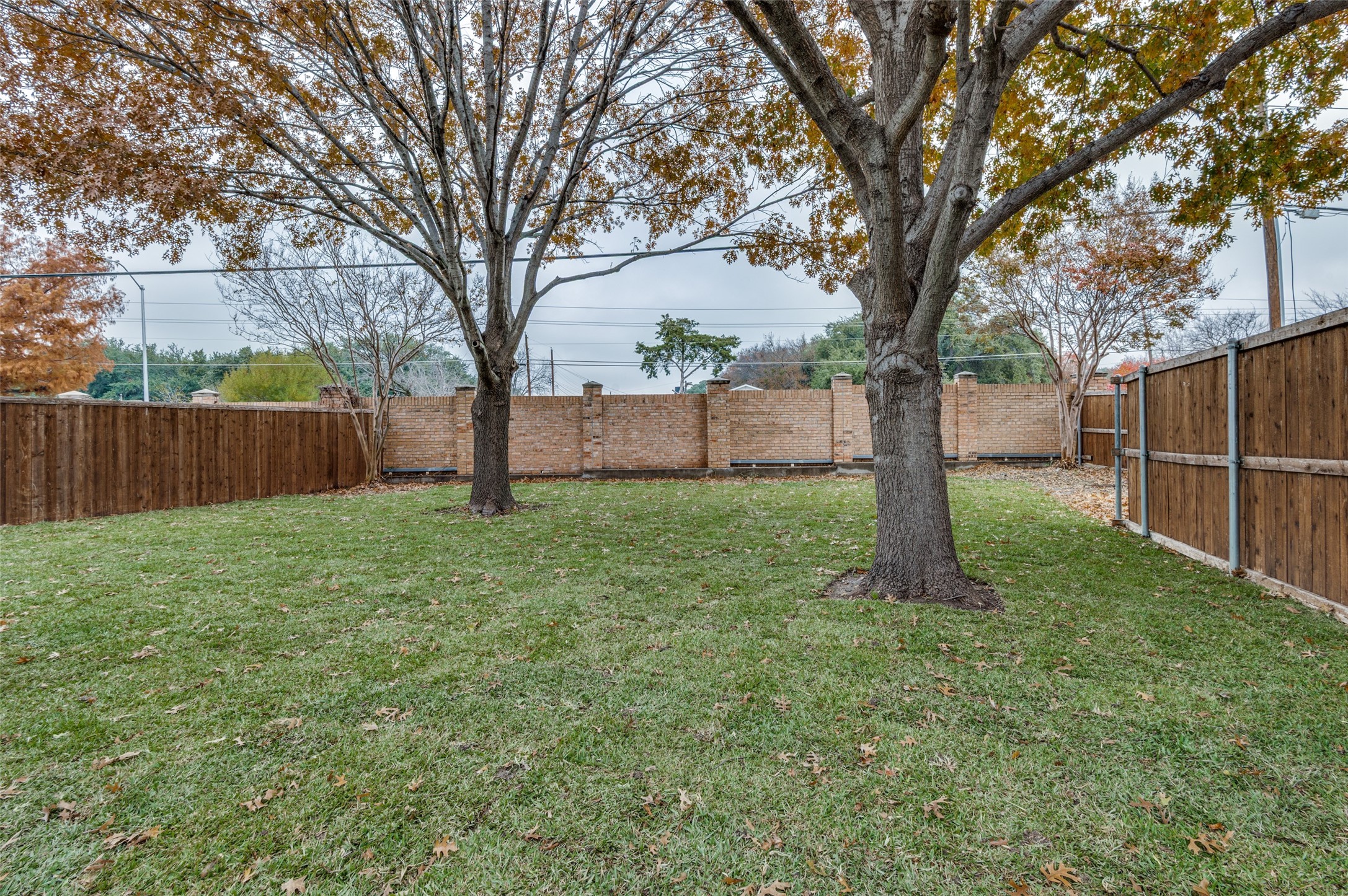 1401 Ginger Court