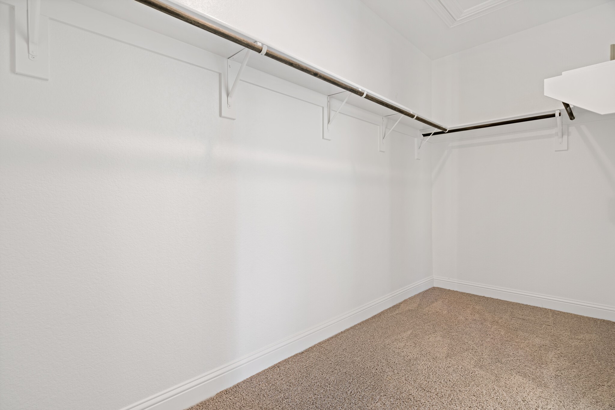 124 Spanish Bluebell Drive