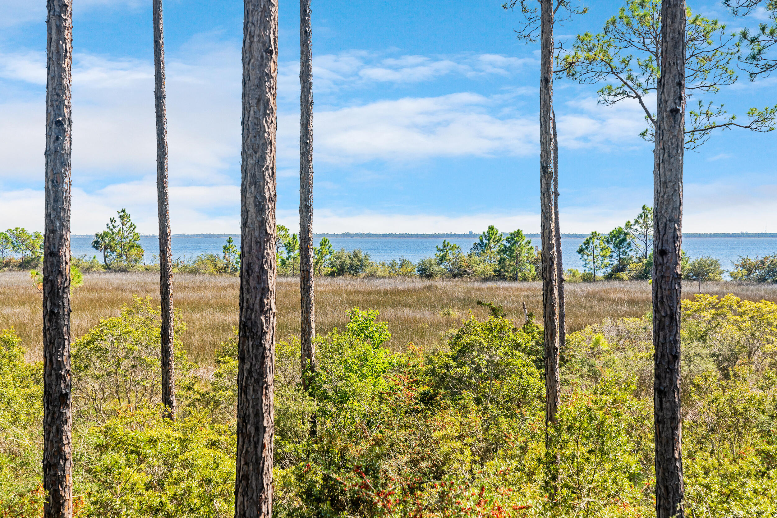 7609 Coastal Hammock Trail
