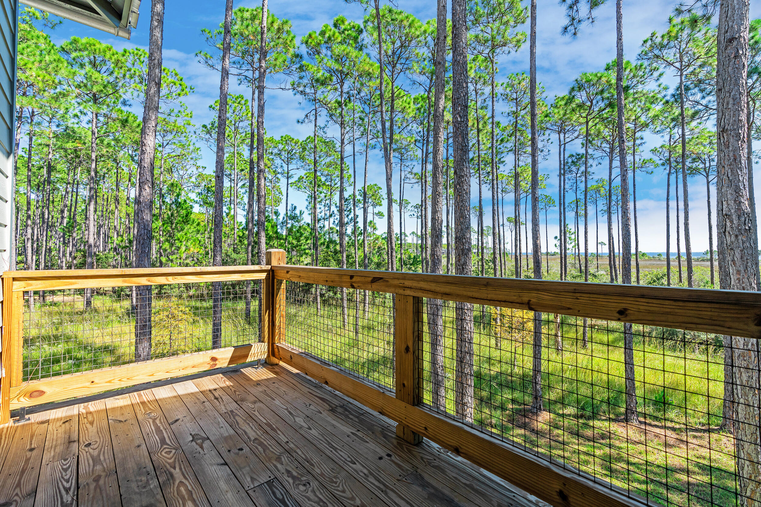 7609 Coastal Hammock Trail