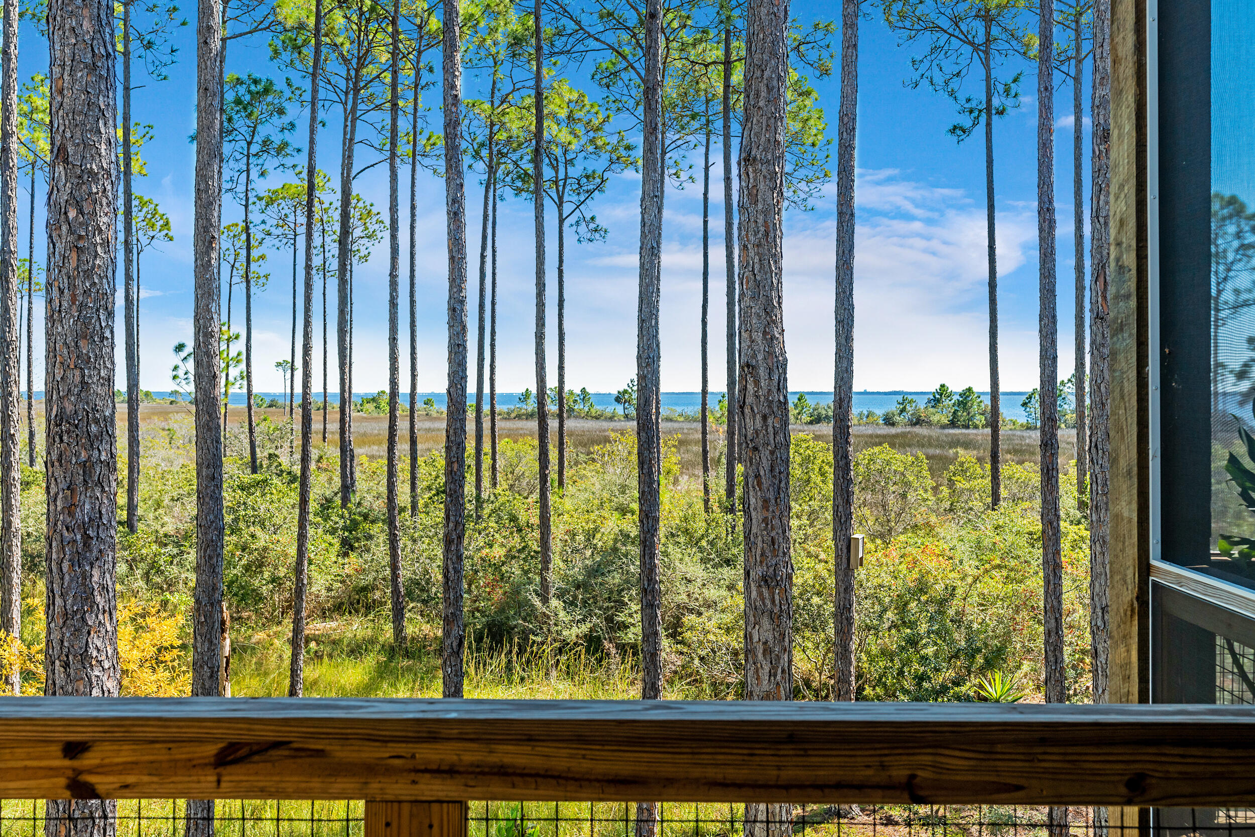 7609 Coastal Hammock Trail