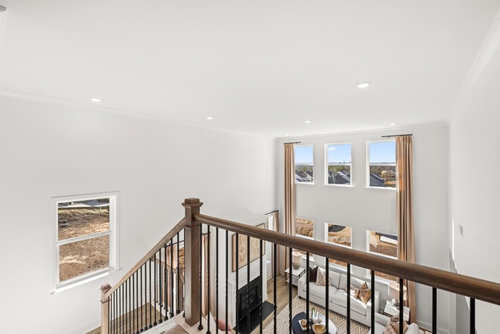 102 Saddlebred Lane
