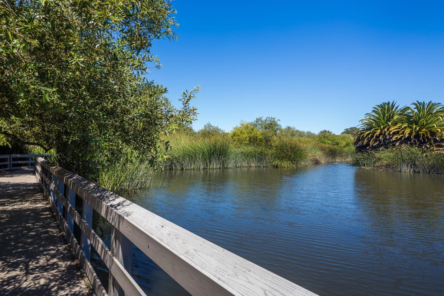 102 Shelter Lagoon