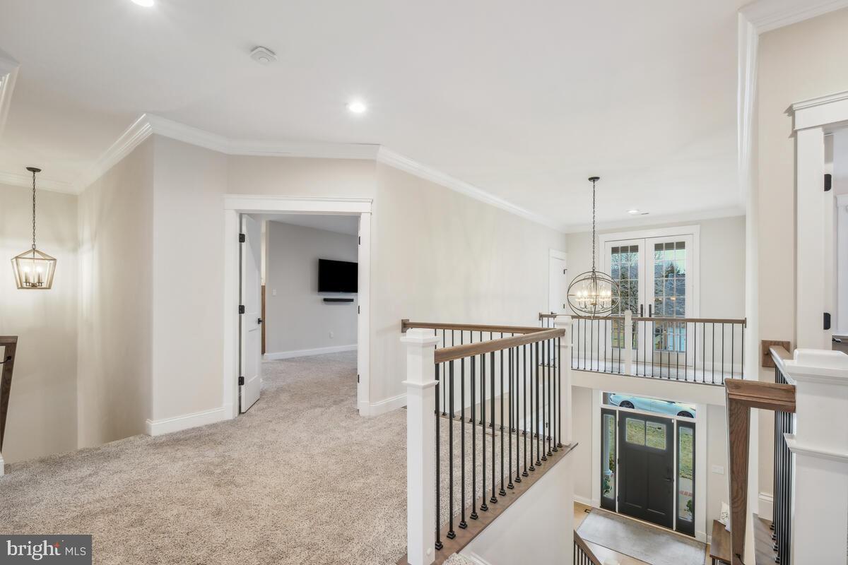 1906 KINGS FOREST TRAIL