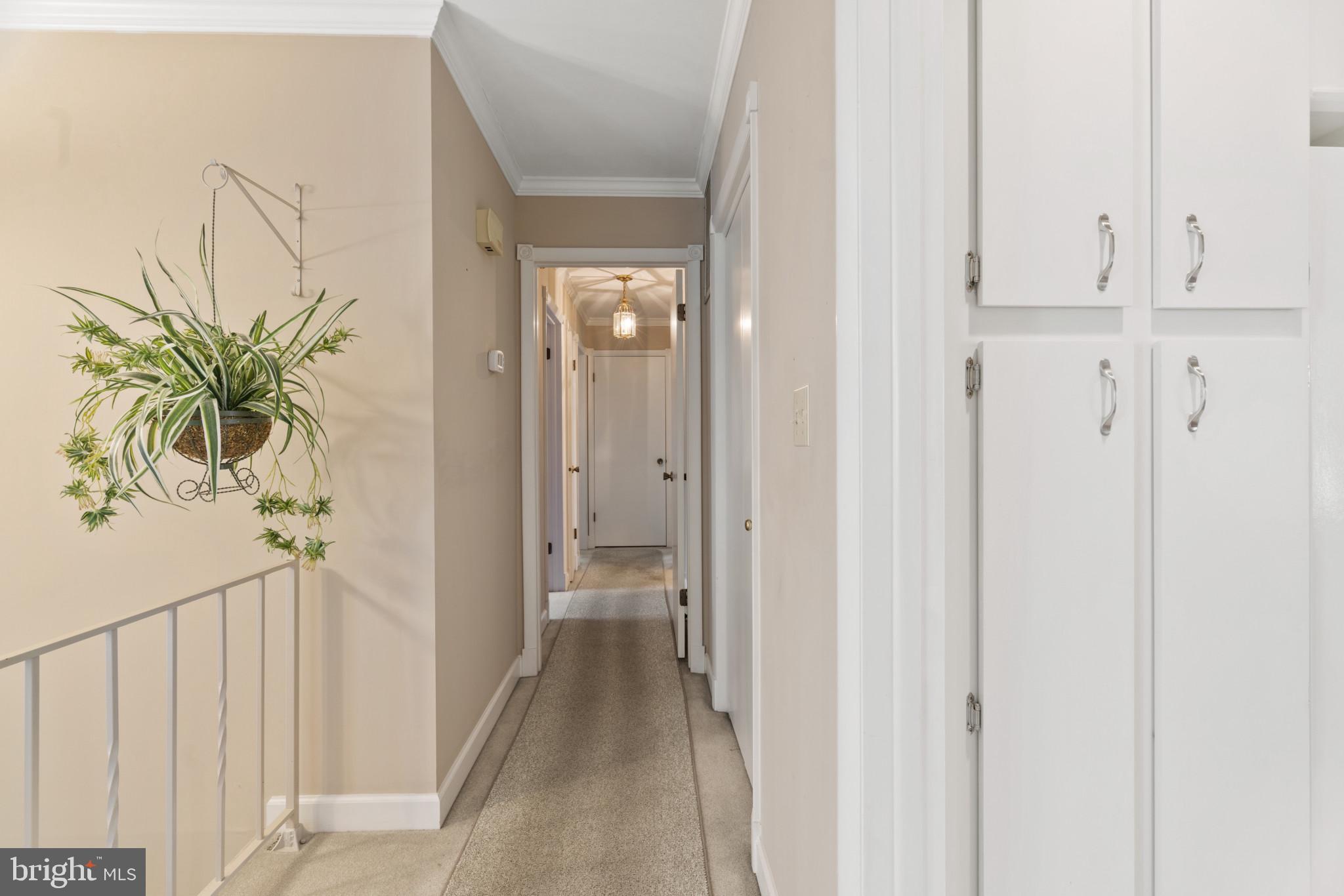 5804 CATOCTIN VISTA DRIVE