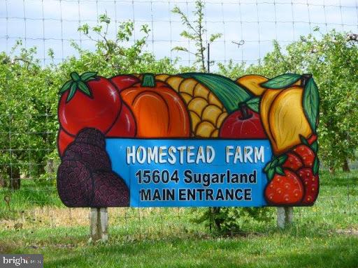 17226 SPATES HILL ROAD