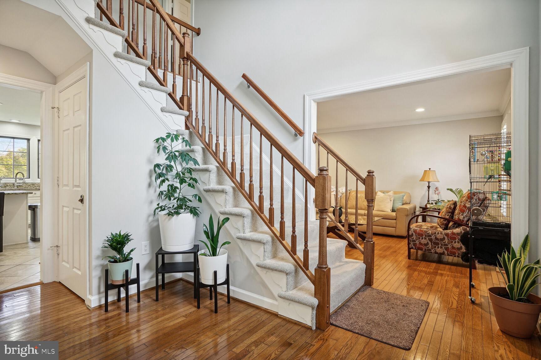 217 LOWER COUNTRY DRIVE