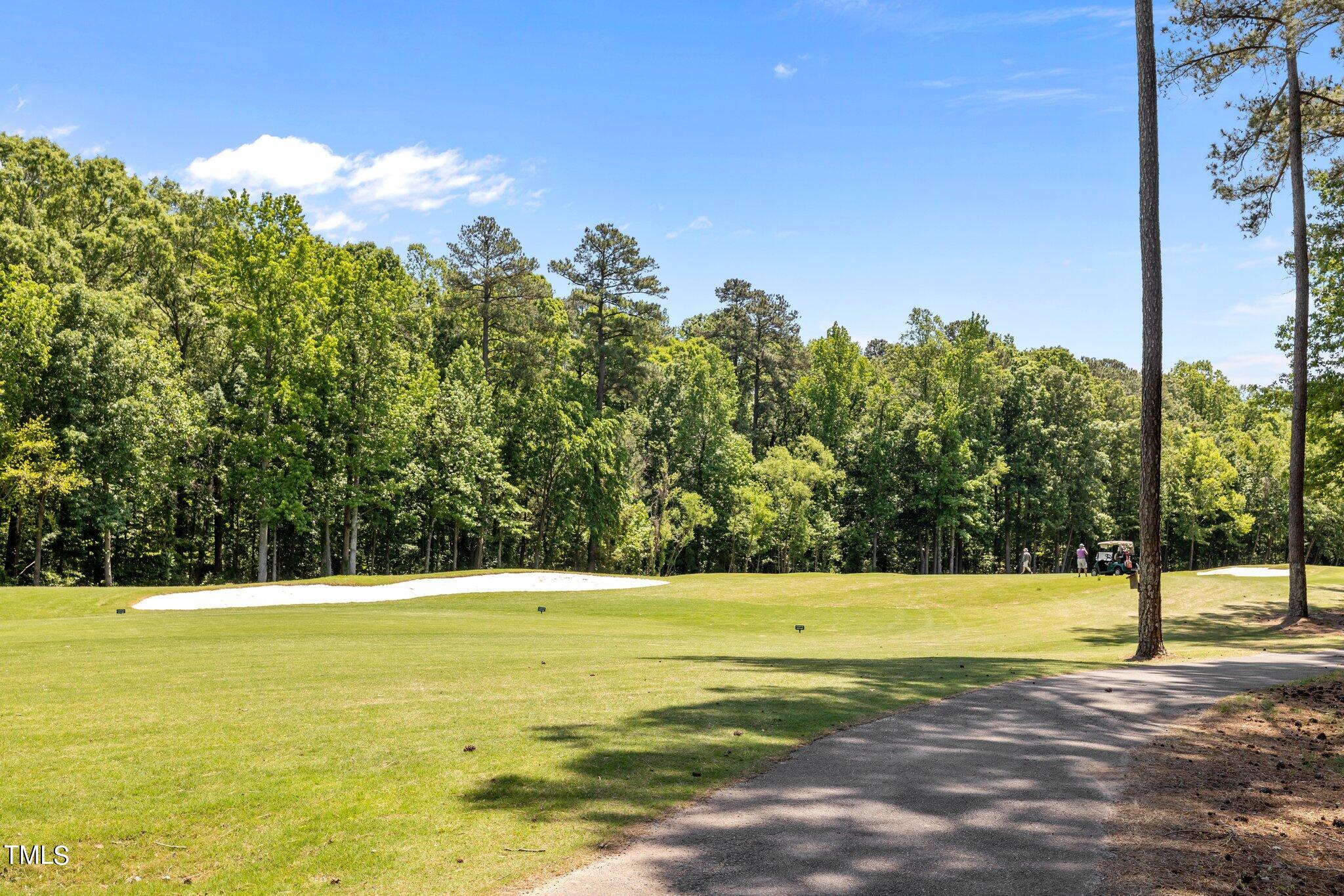 8948 Winged Thistle Court