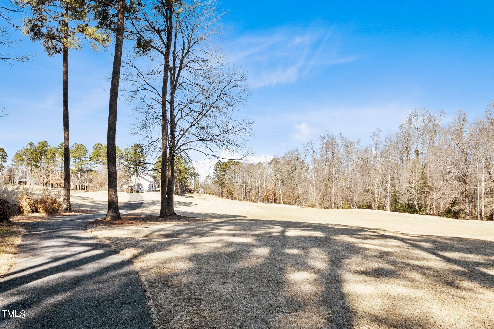 8948 Winged Thistle Court