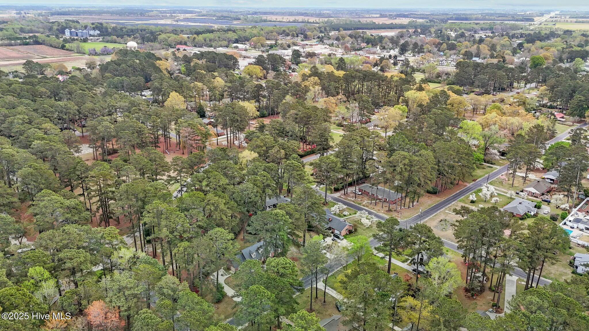 Aerial view of a tree-lined residential neighborhood with homes, intersecting streets, and a distant town center.