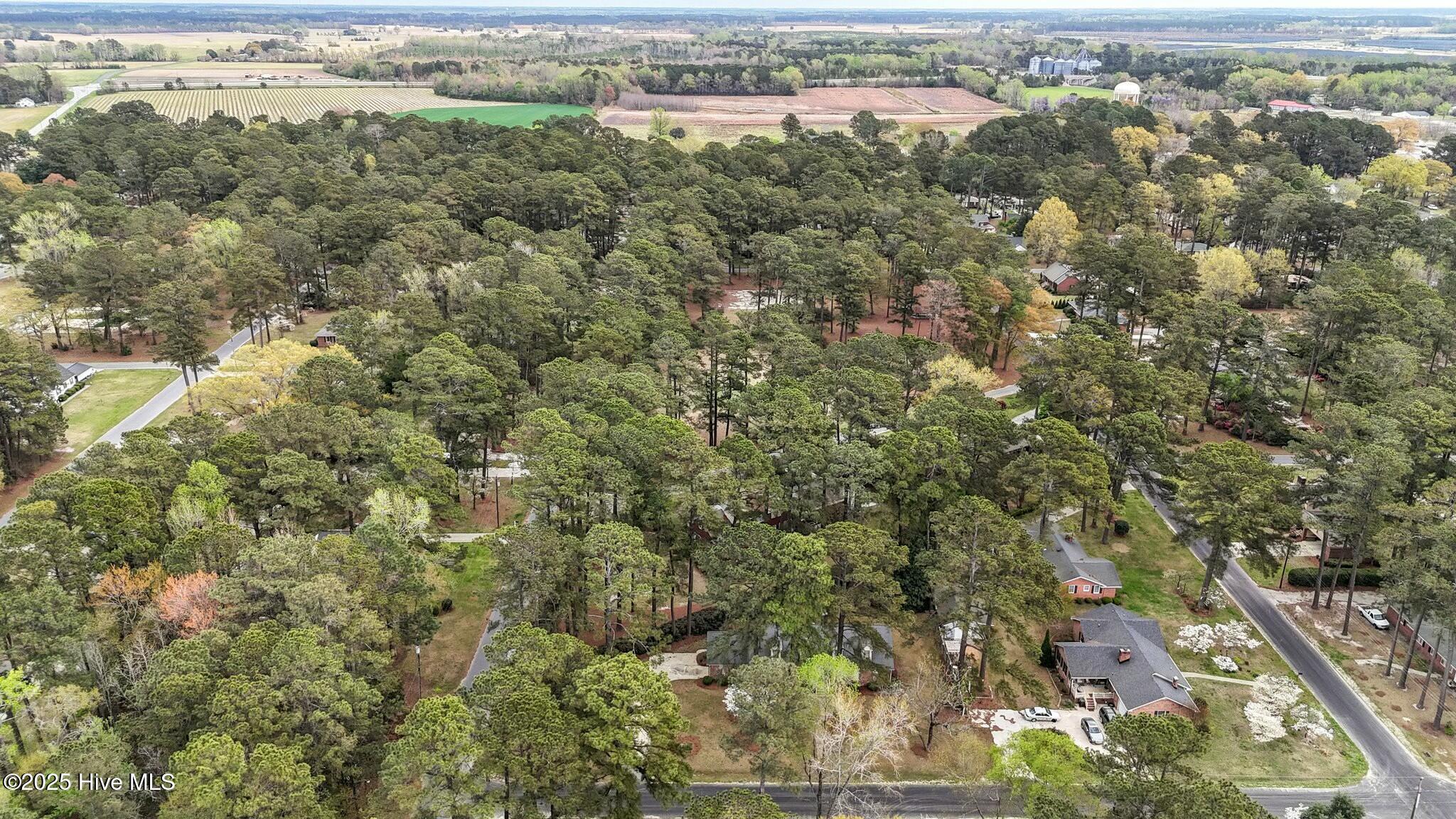 Aerial view over a pine-covered neighborhood, with scattered homes and farmland on the horizon.