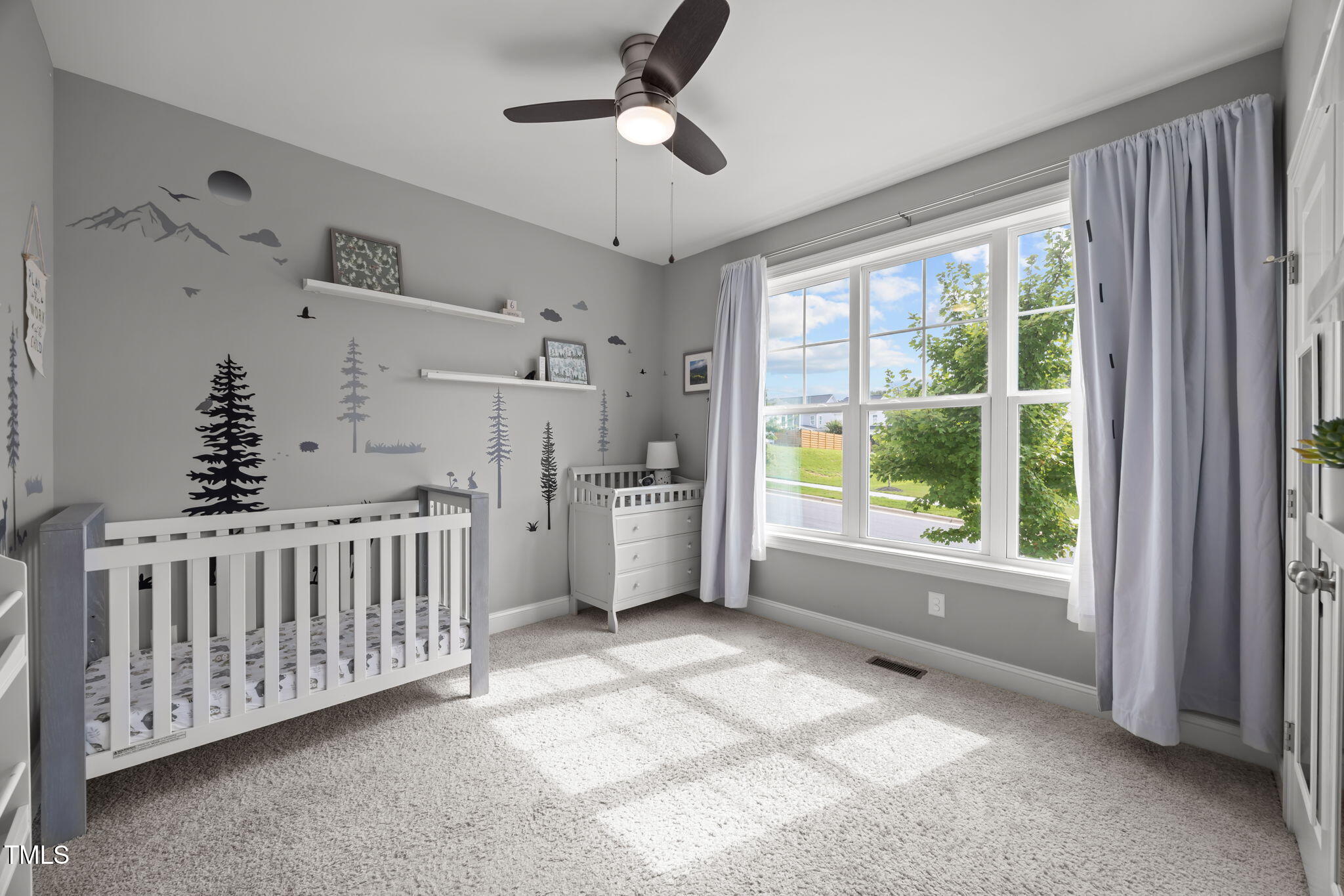 244 Thunder Forest Lane