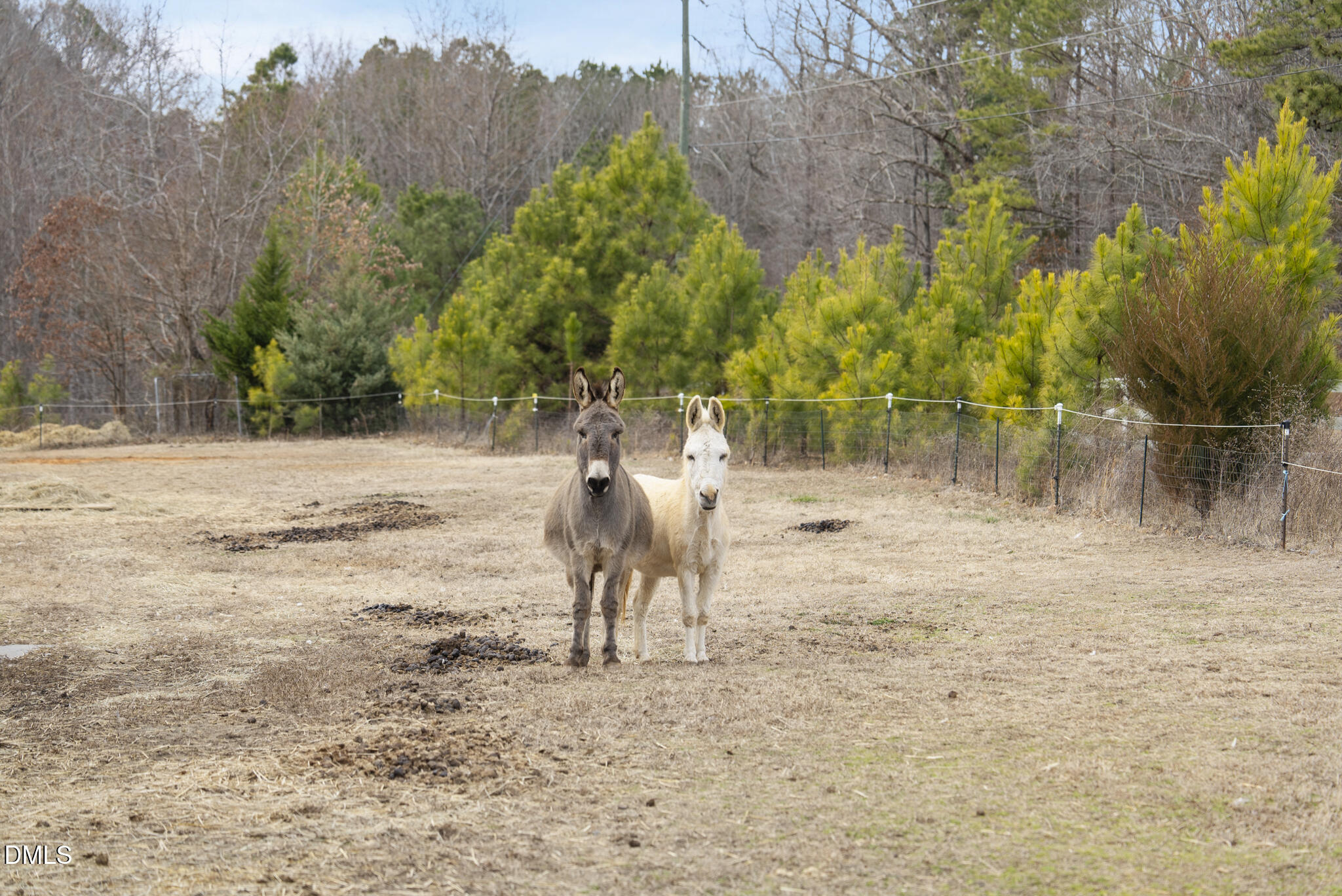 13913 Bold Run Hill Road