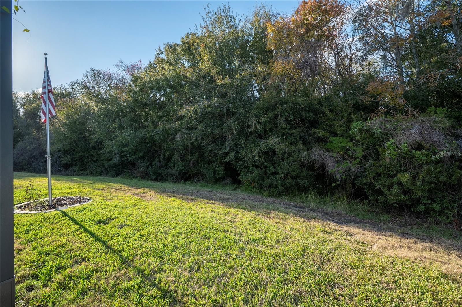 3387 FIDDLE LEAF WAY
