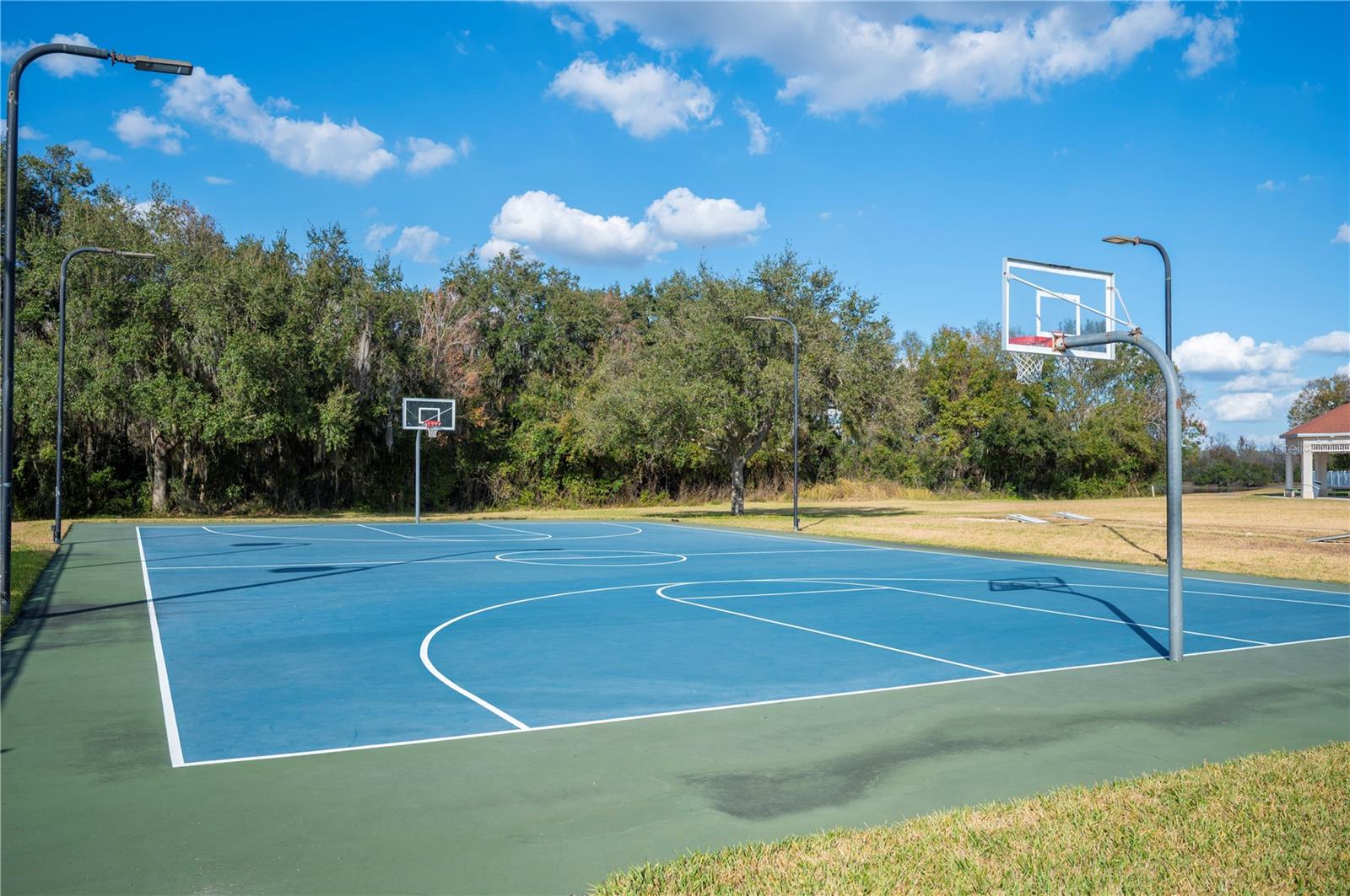 3387 FIDDLE LEAF WAY