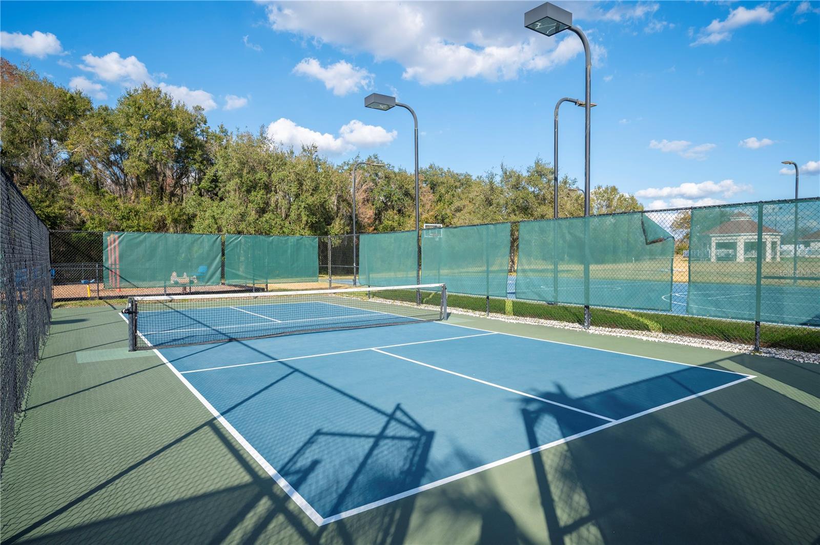 3387 FIDDLE LEAF WAY