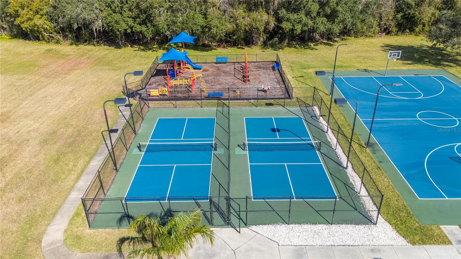 3387 FIDDLE LEAF WAY