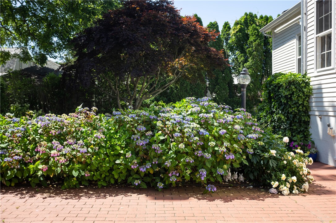 12 Poplar Street
