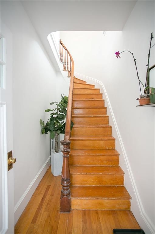 12 Poplar Street