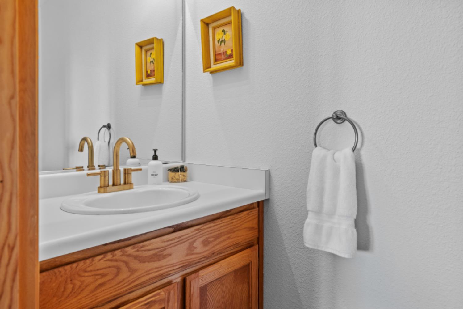 3163 Menominee Court