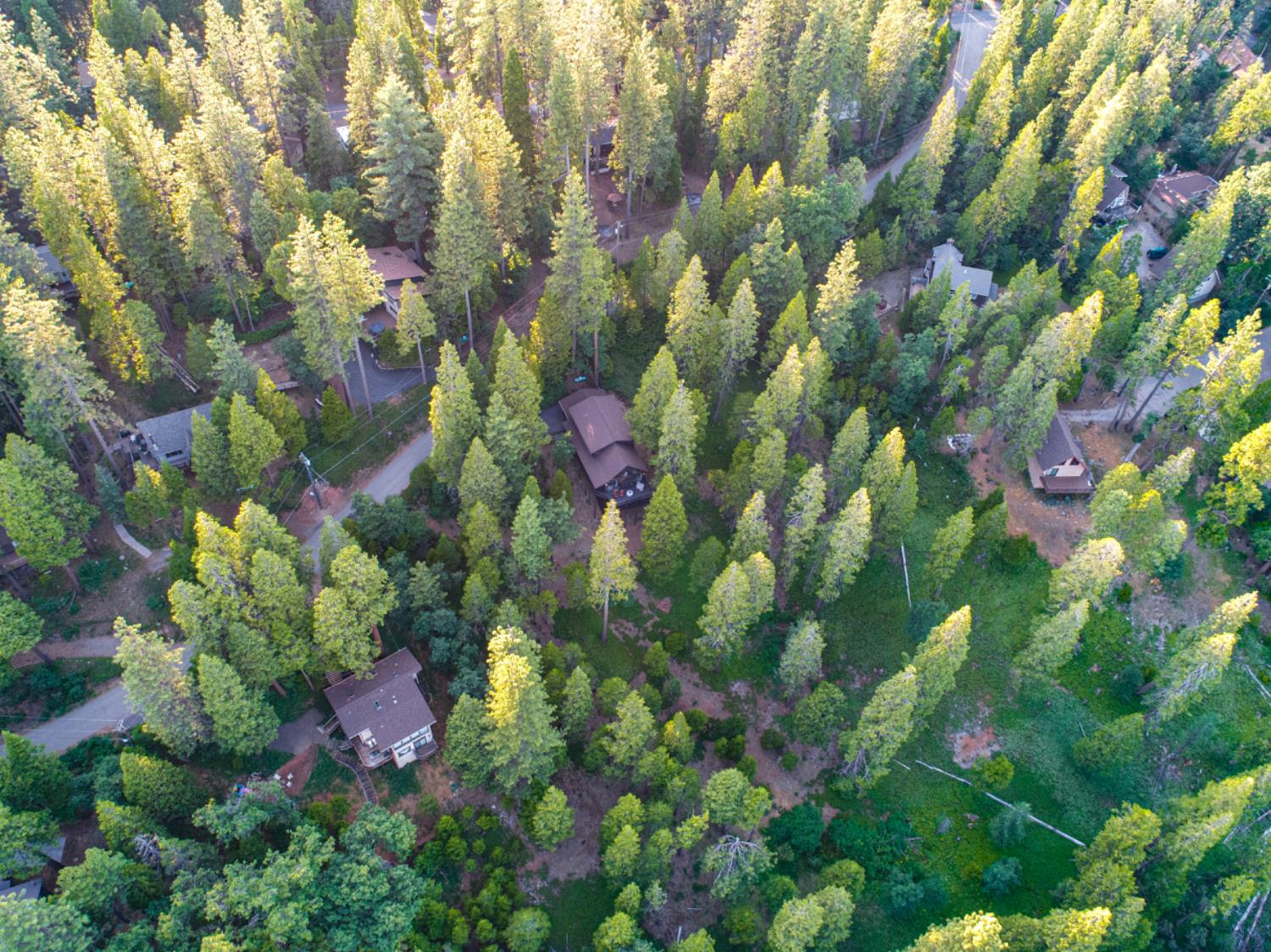 3163 Menominee Court