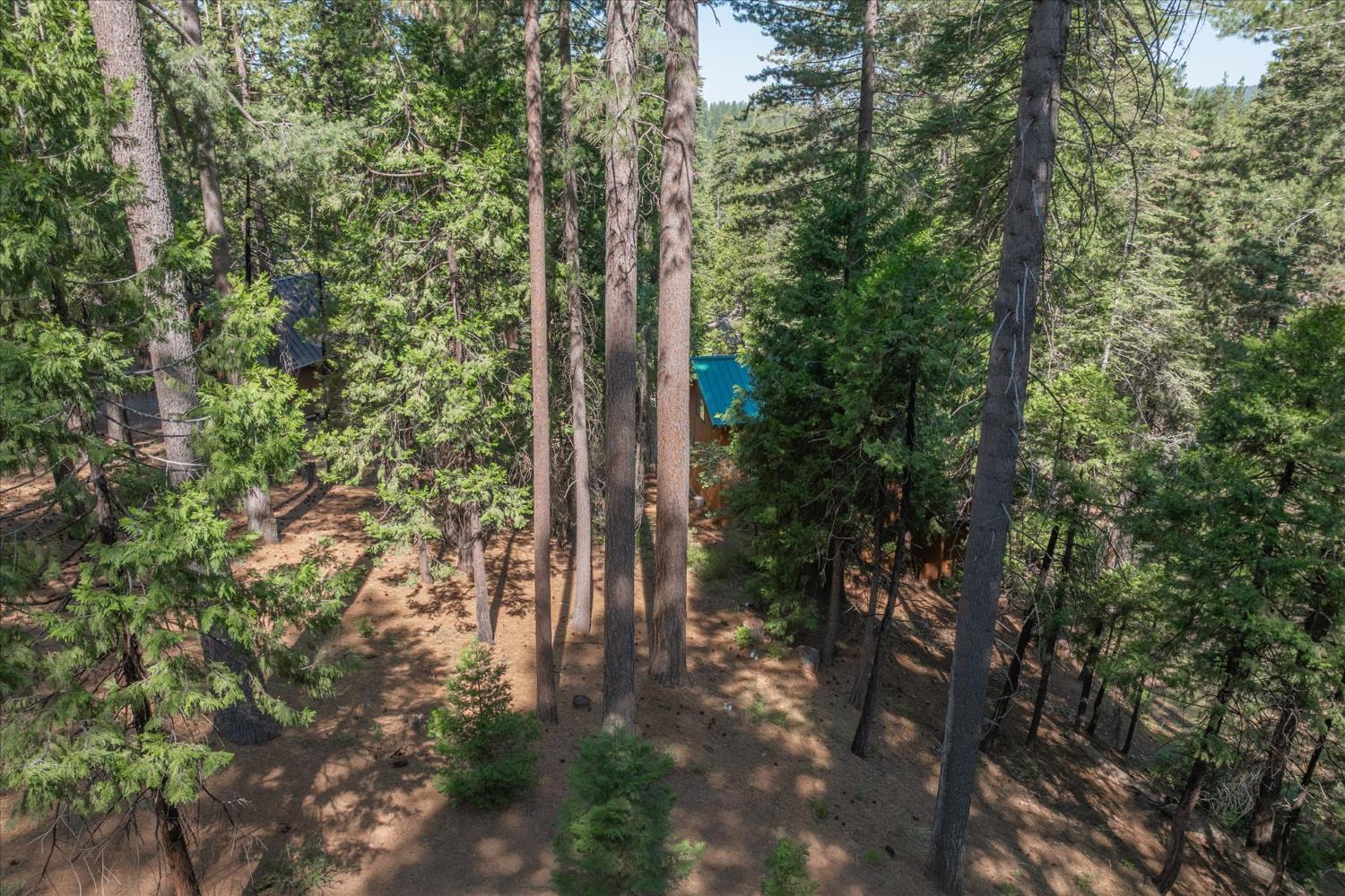 1908 Seminole Way