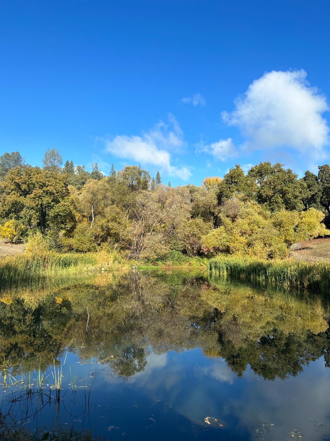 8653 Hidden Valley Road