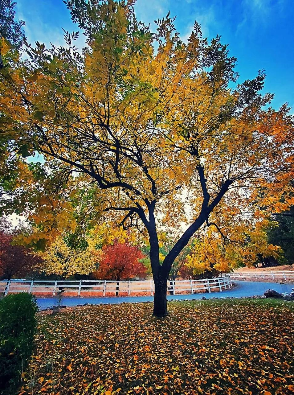 8653 Hidden Valley Road