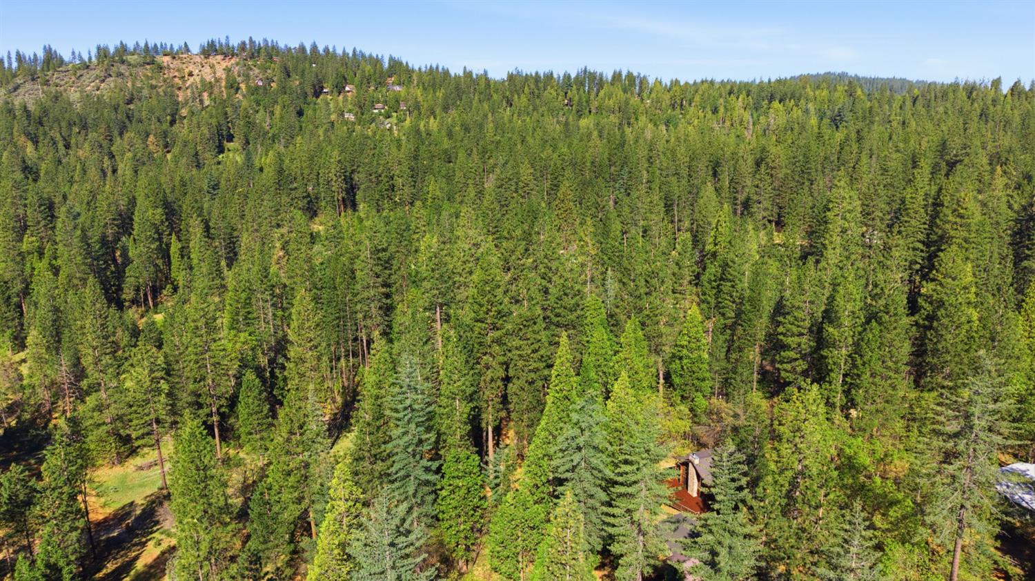 2428 Rancho Paradiso