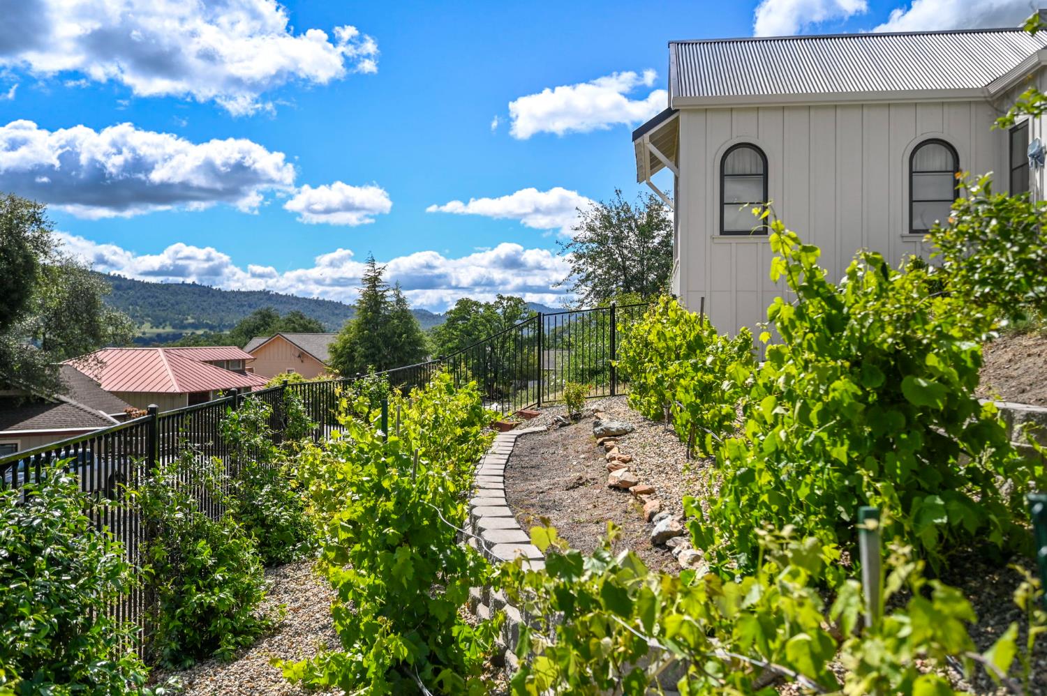 616 Selkirk Ranch