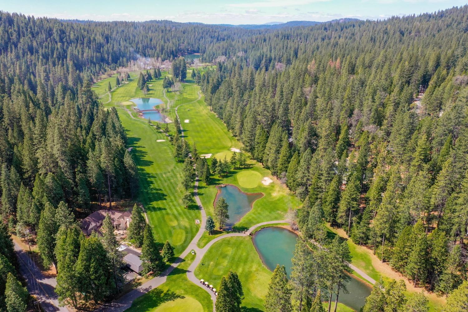 807 Blue Lake Springs Drive