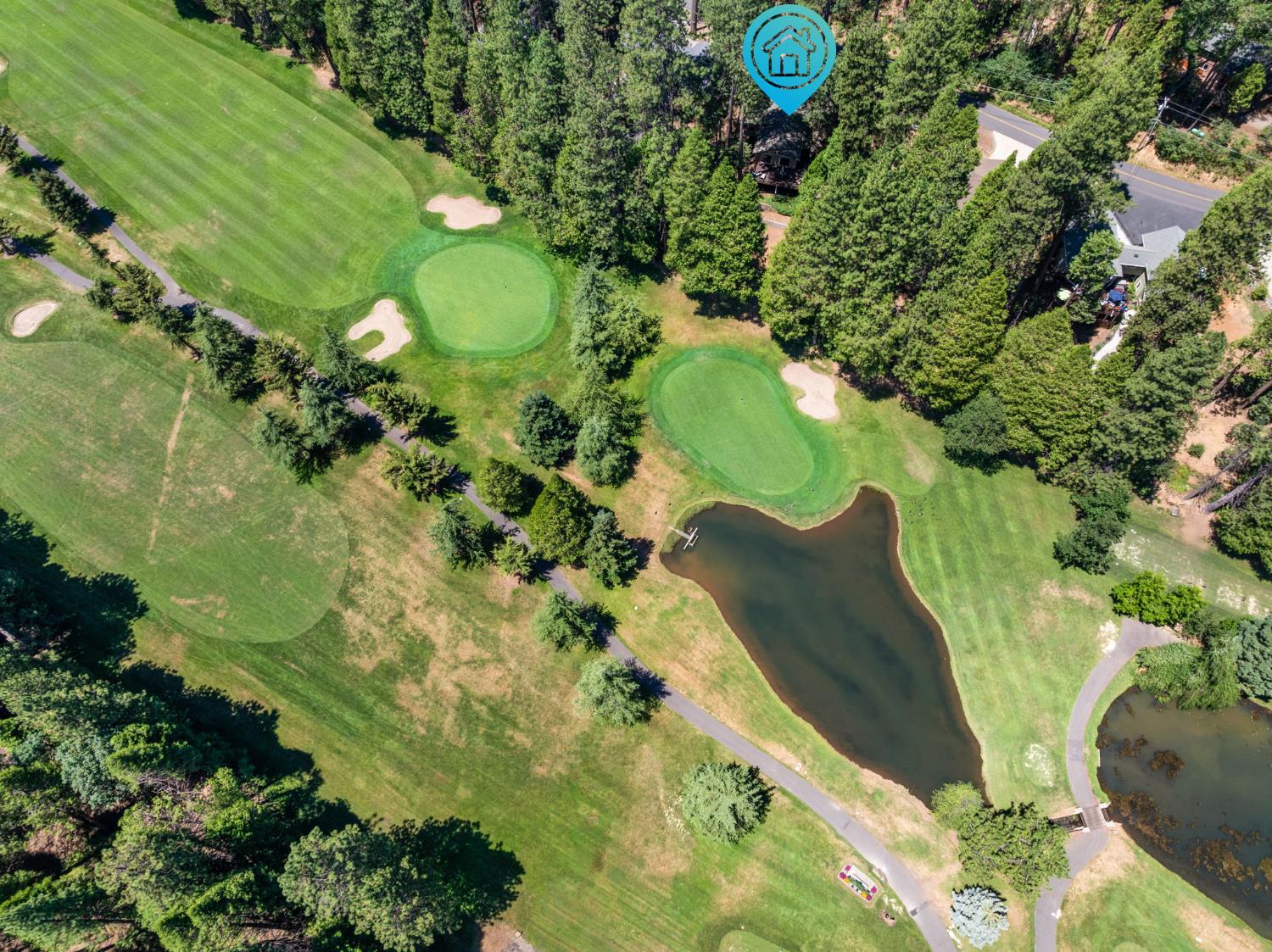 807 Blue Lake Springs Drive