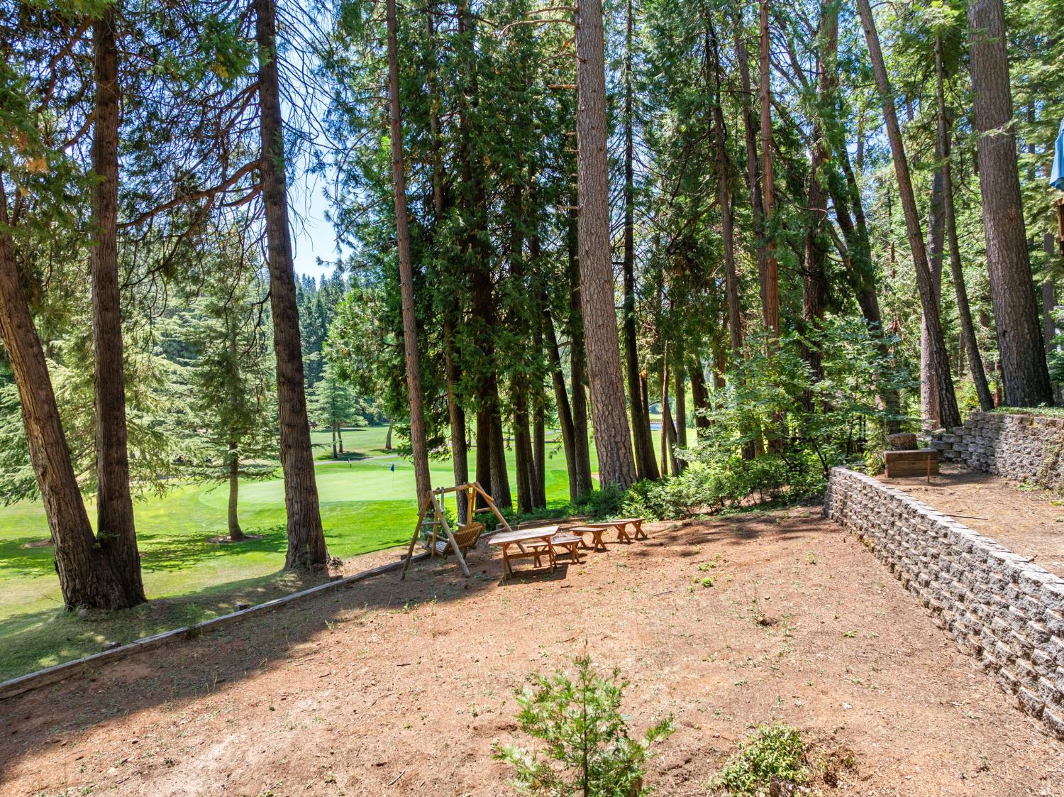 807 Blue Lake Springs Drive