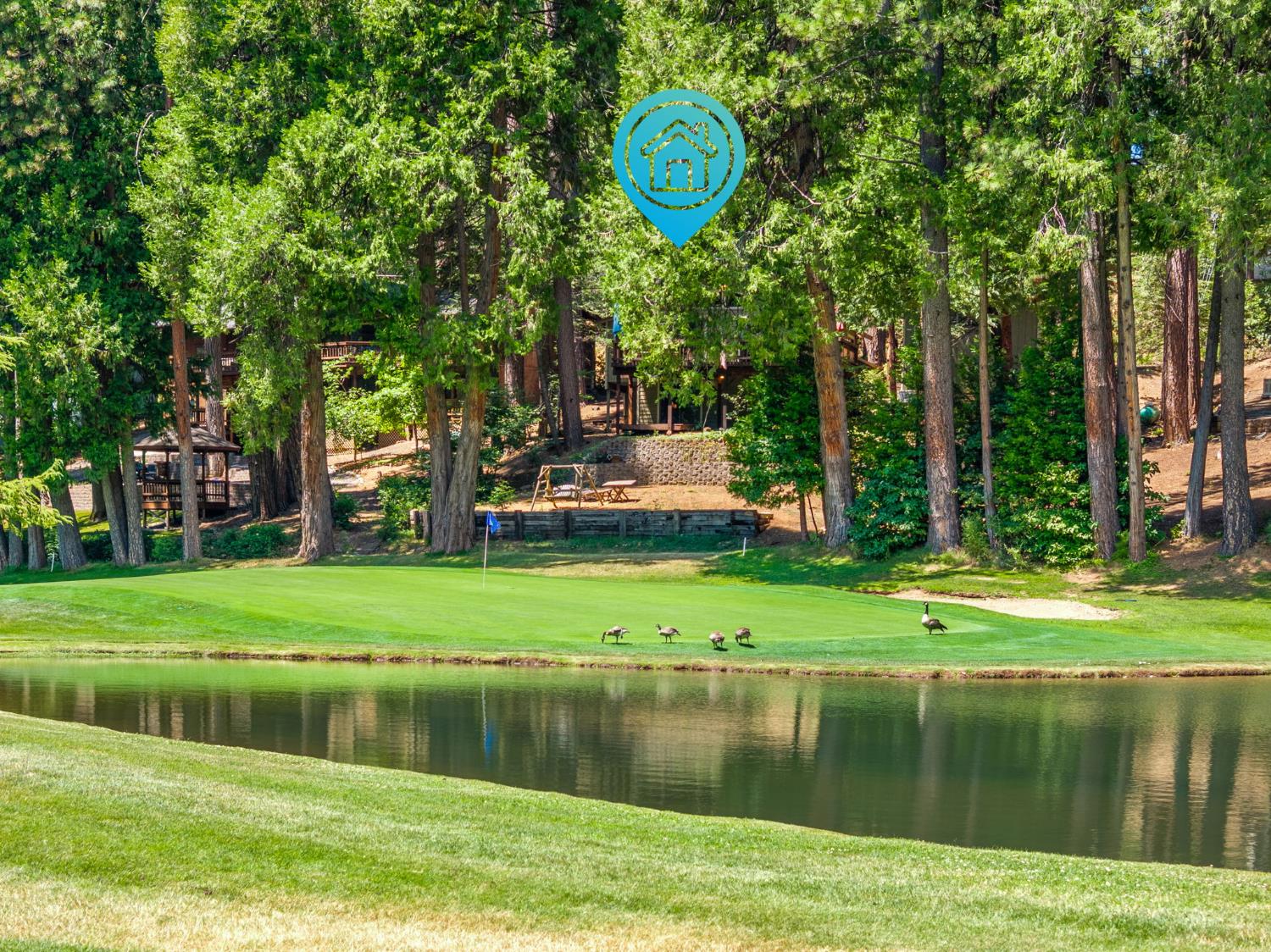 807 Blue Lake Springs Drive