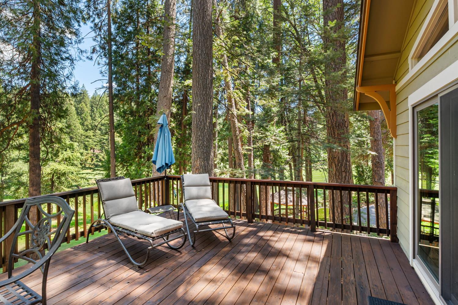 807 Blue Lake Springs Drive