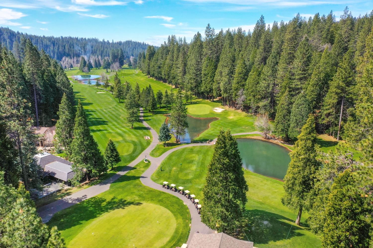 807 Blue Lake Springs Drive