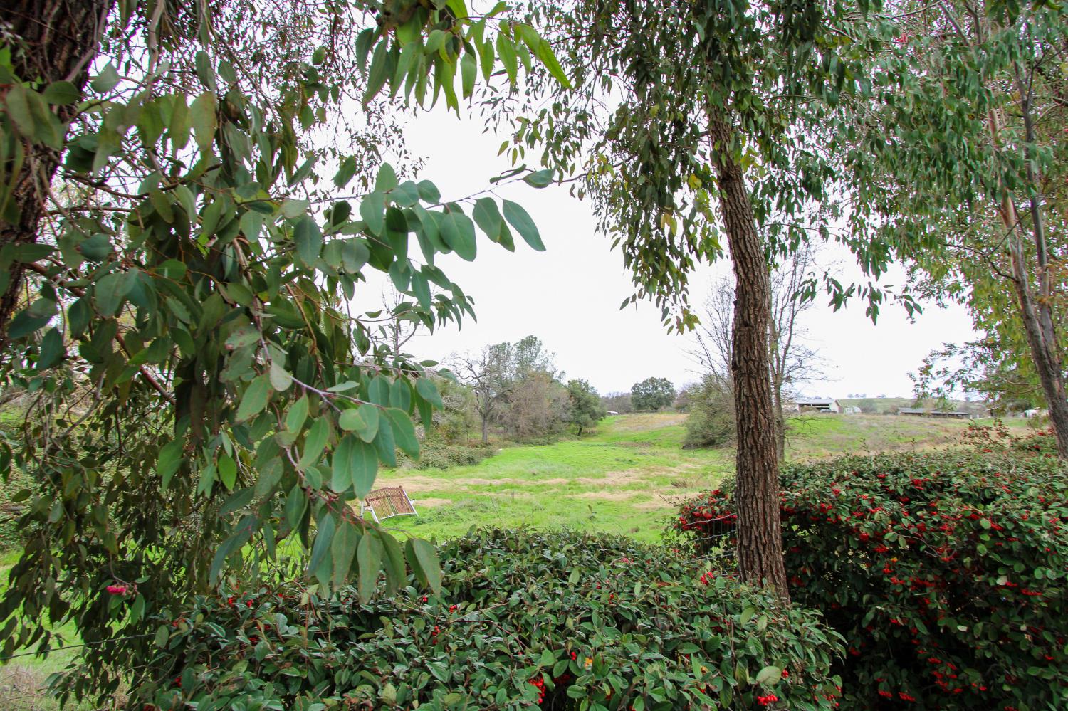 1225 Annalee Drive