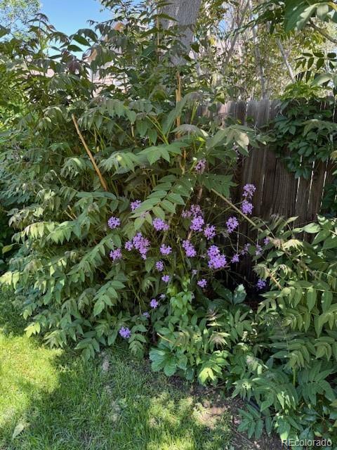 18655 E Garden Place