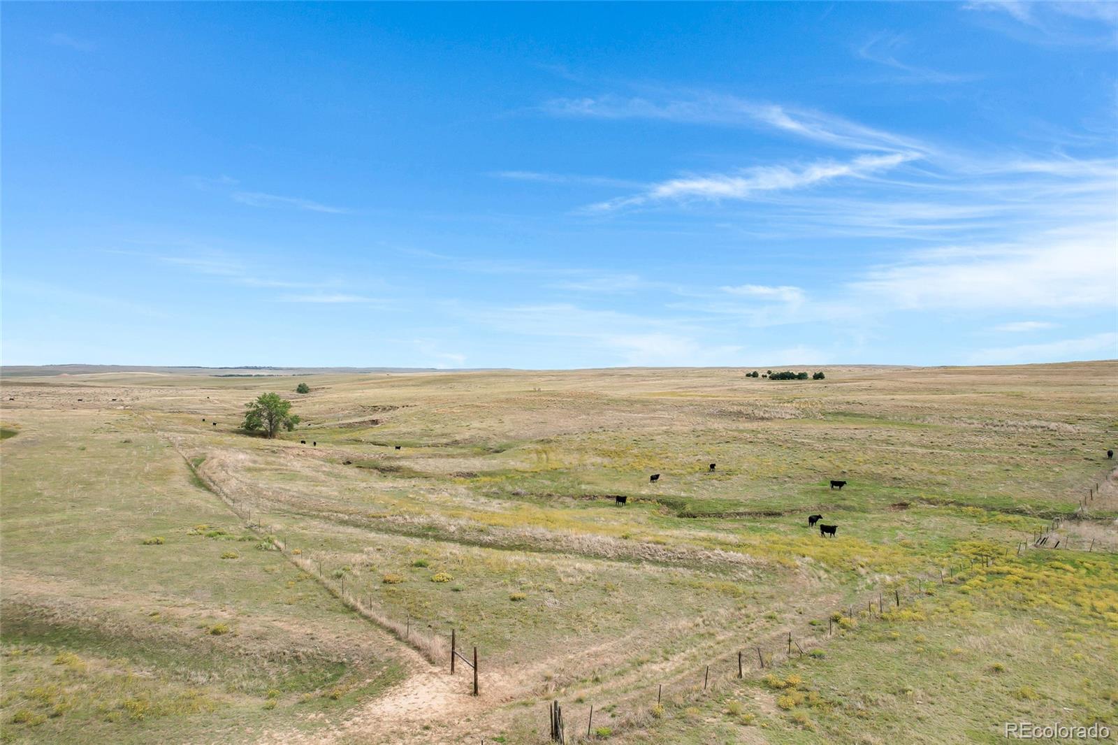 22668 County Road 93