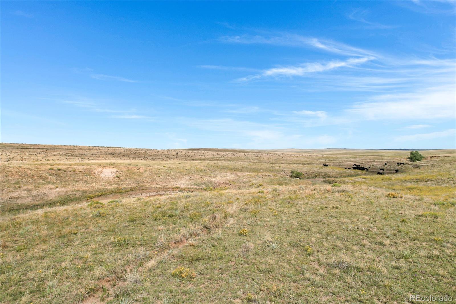 22668 County Road 93