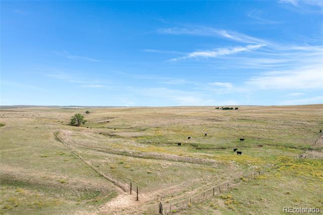 22668 County Road 93