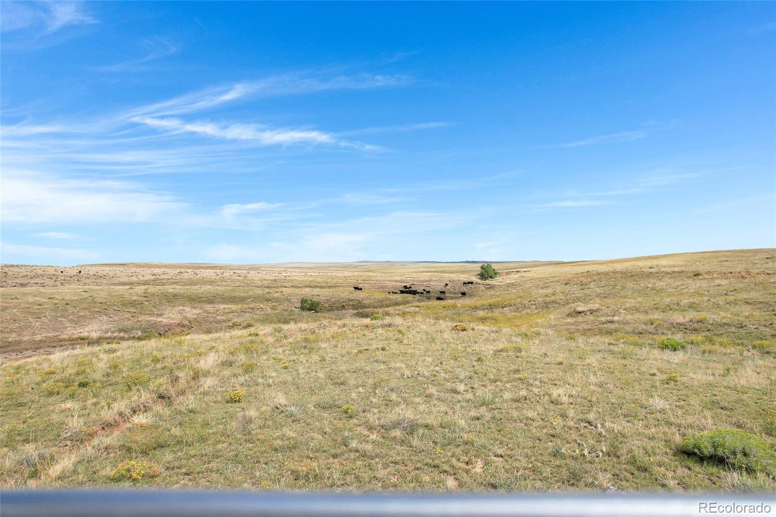 22668 County Road 93