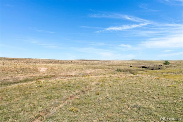 22668 County Road 93