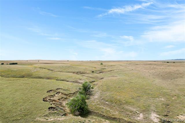 22668 County Road 93