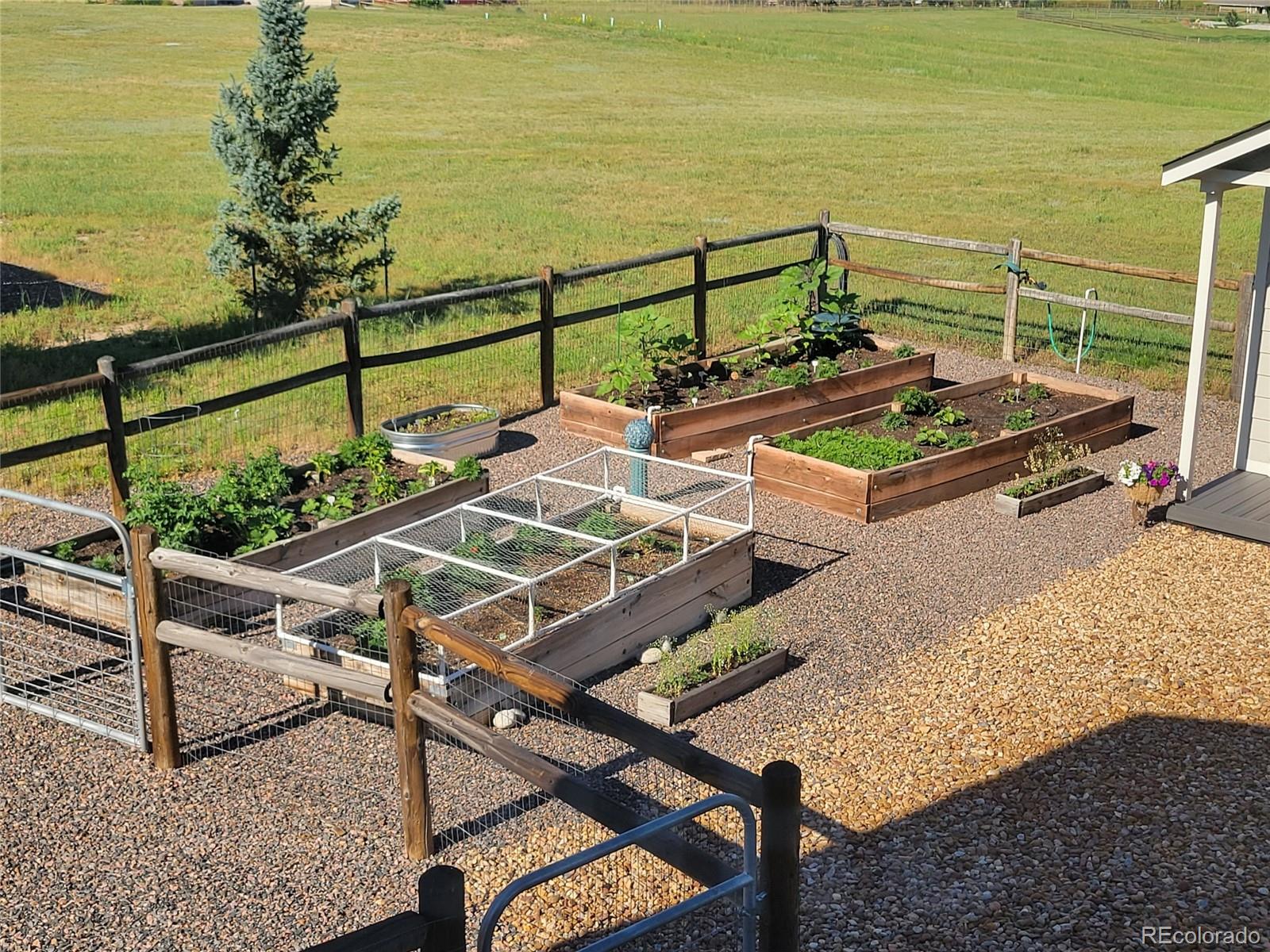 3441 Antelope Ridge Trail